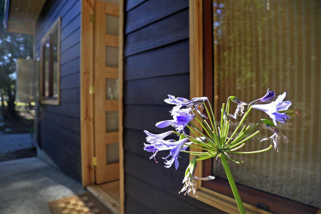 Готель Cabanas Bosques De Loncotraro Вільярріка Екстер'єр фото
