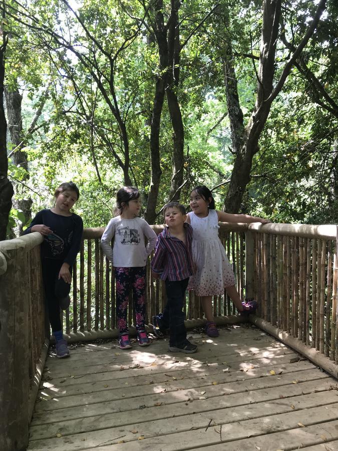 Готель Cabanas Bosques De Loncotraro Вільярріка Екстер'єр фото