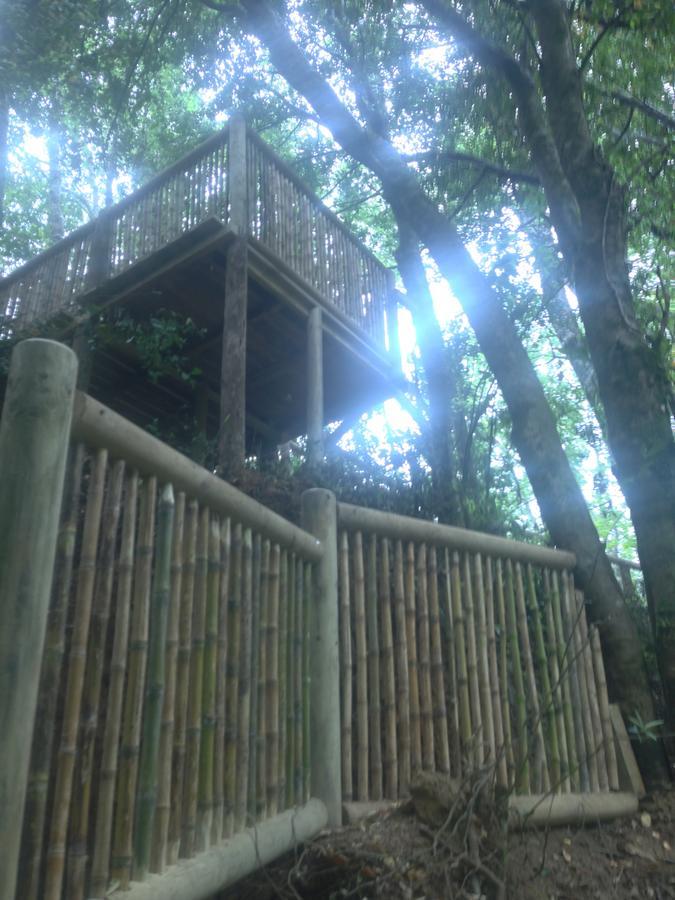 Готель Cabanas Bosques De Loncotraro Вільярріка Екстер'єр фото