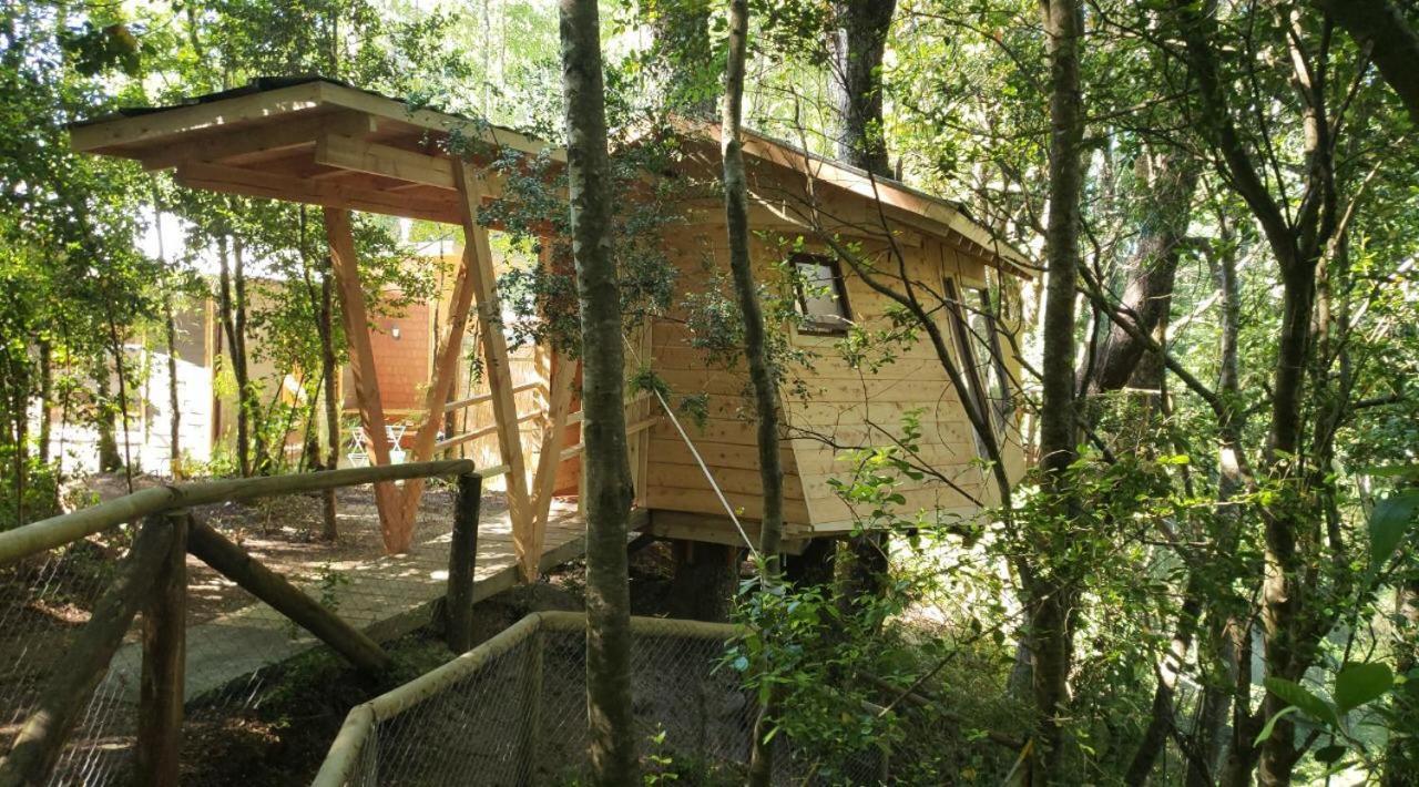 Готель Cabanas Bosques De Loncotraro Вільярріка Екстер'єр фото