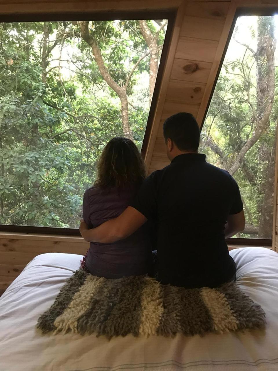 Готель Cabanas Bosques De Loncotraro Вільярріка Екстер'єр фото