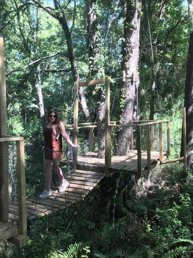 Готель Cabanas Bosques De Loncotraro Вільярріка Екстер'єр фото