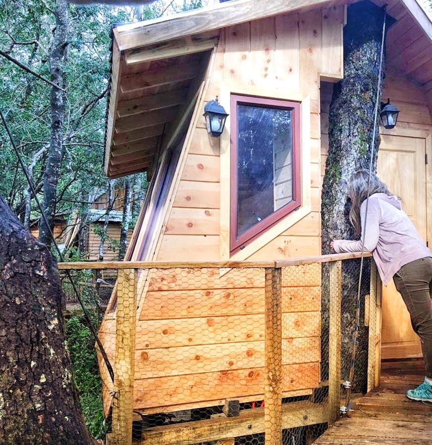 Готель Cabanas Bosques De Loncotraro Вільярріка Екстер'єр фото