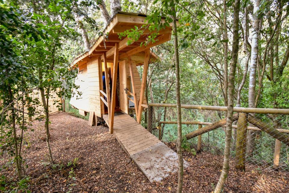 Готель Cabanas Bosques De Loncotraro Вільярріка Екстер'єр фото