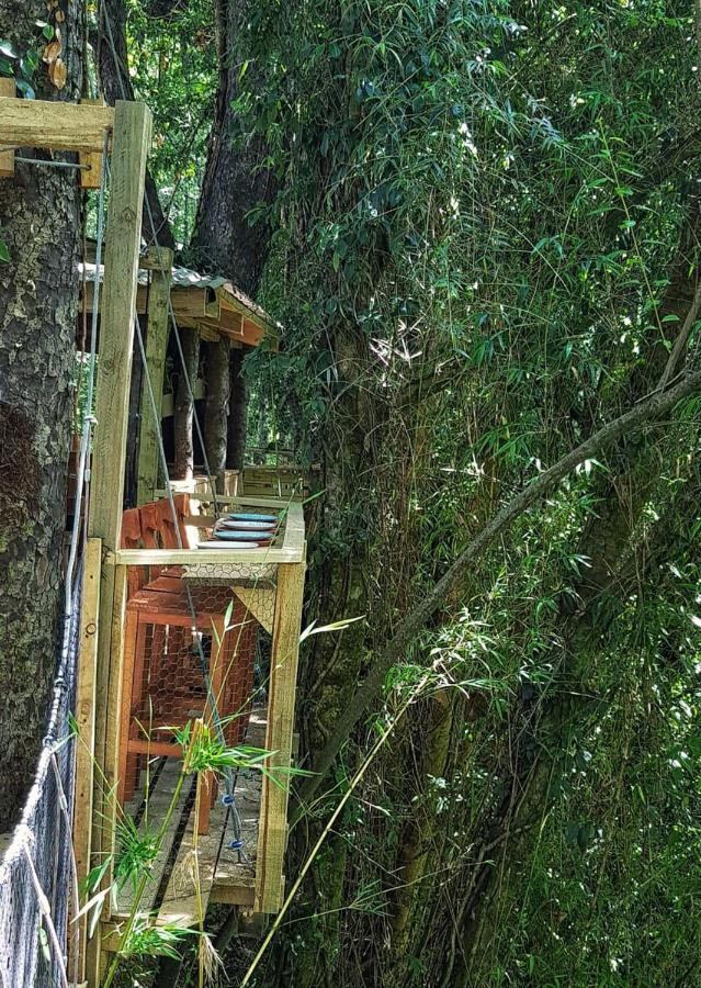 Готель Cabanas Bosques De Loncotraro Вільярріка Екстер'єр фото