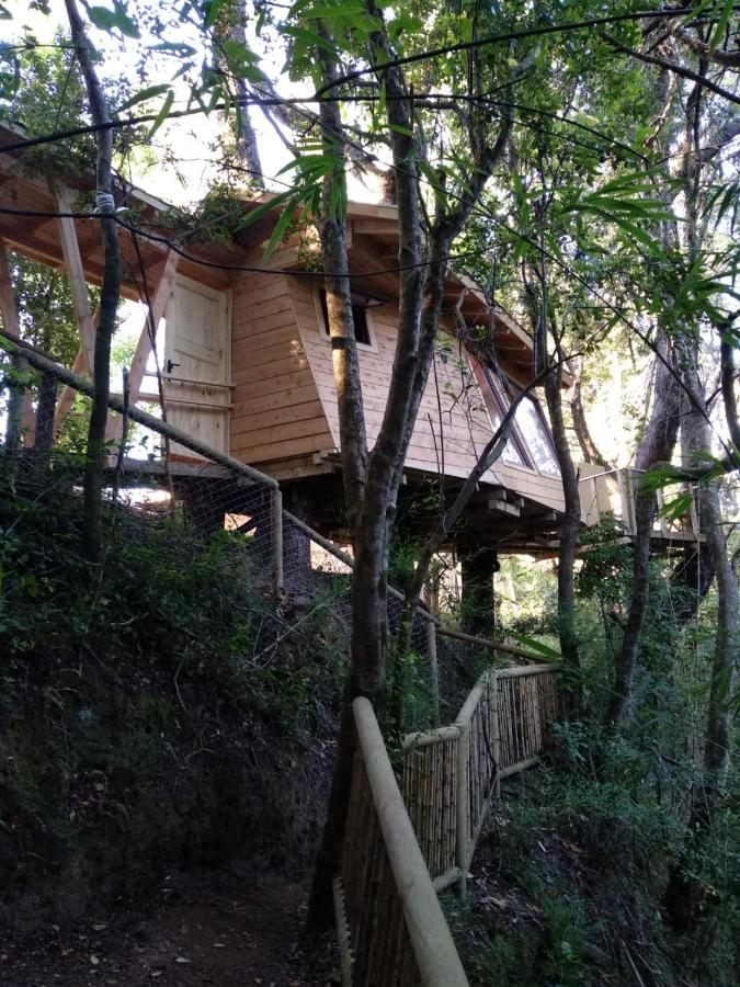 Готель Cabanas Bosques De Loncotraro Вільярріка Екстер'єр фото